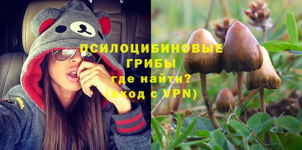 spice Покров
