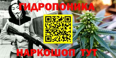 apvp Нарткала
