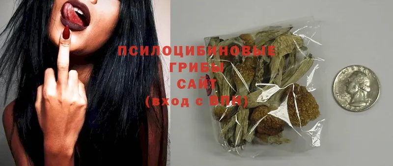 Галлюциногенные грибы MAGIC MUSHROOMS  цены   Саратов 