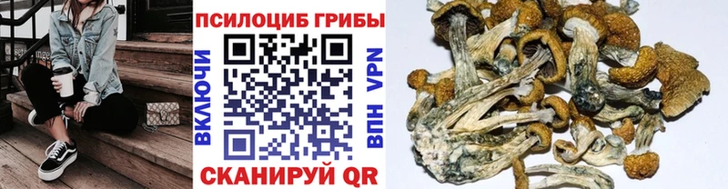 продажа наркотиков  MEGA рабочий сайт  Галлюциногенные грибы ЛСД  Саратов 