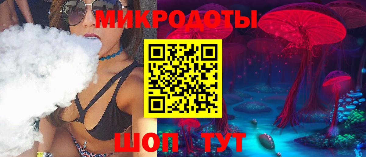 Псилоцибиновые грибы Psilocybe Саратов